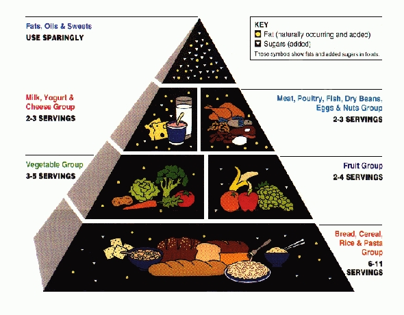 Dieta piramidala latino-americana