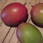 Mango ingrasa