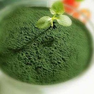 Spirulina, ajutor in lupta cu kilogramele