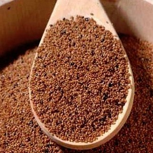 Teff-ul, cereala cu vitamina C si fara gluten