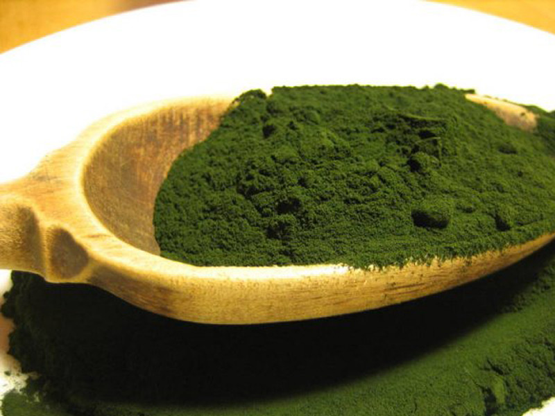 Chlorella, alga miraculoasa a secolului nostru