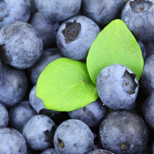 Cum slabesti si iti detoxifiezi organismul in 5 zile cu afine